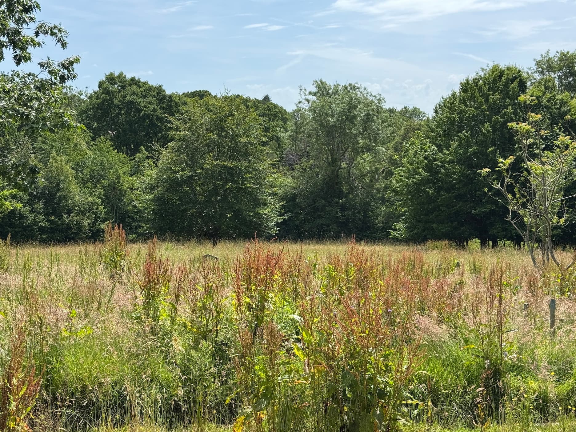 Self build plot for sale in Rotherfield, East Sussex