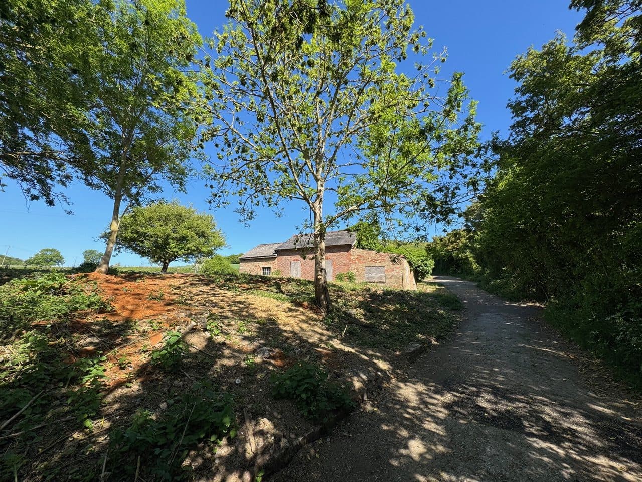 Current View from Lane