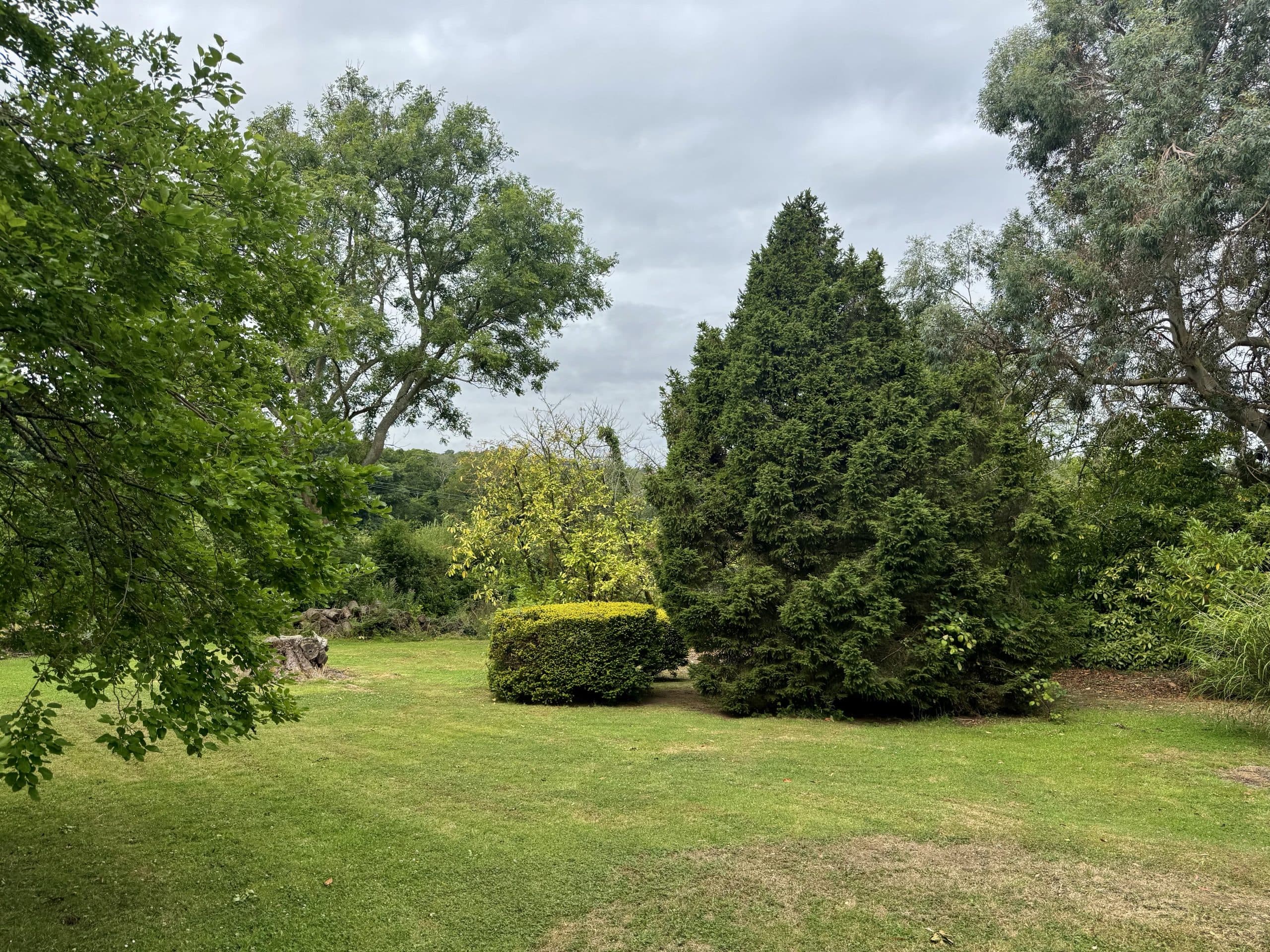 Plot 2