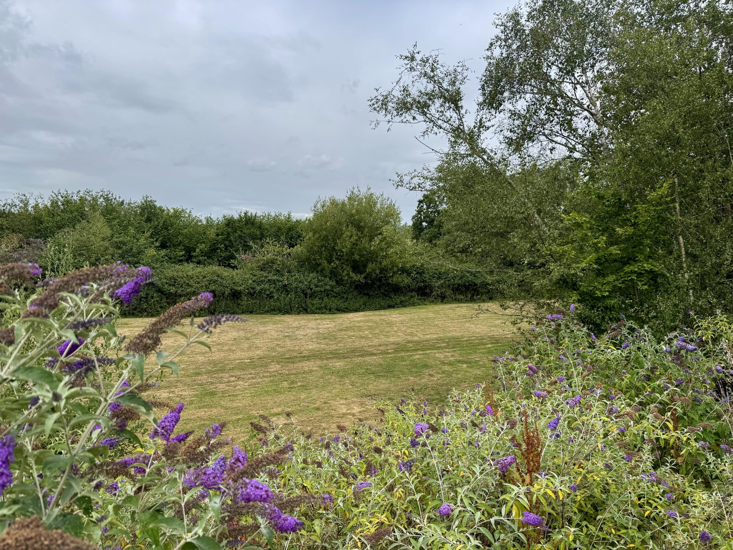 Self build plot for sale in Broad Oak, Heathfield