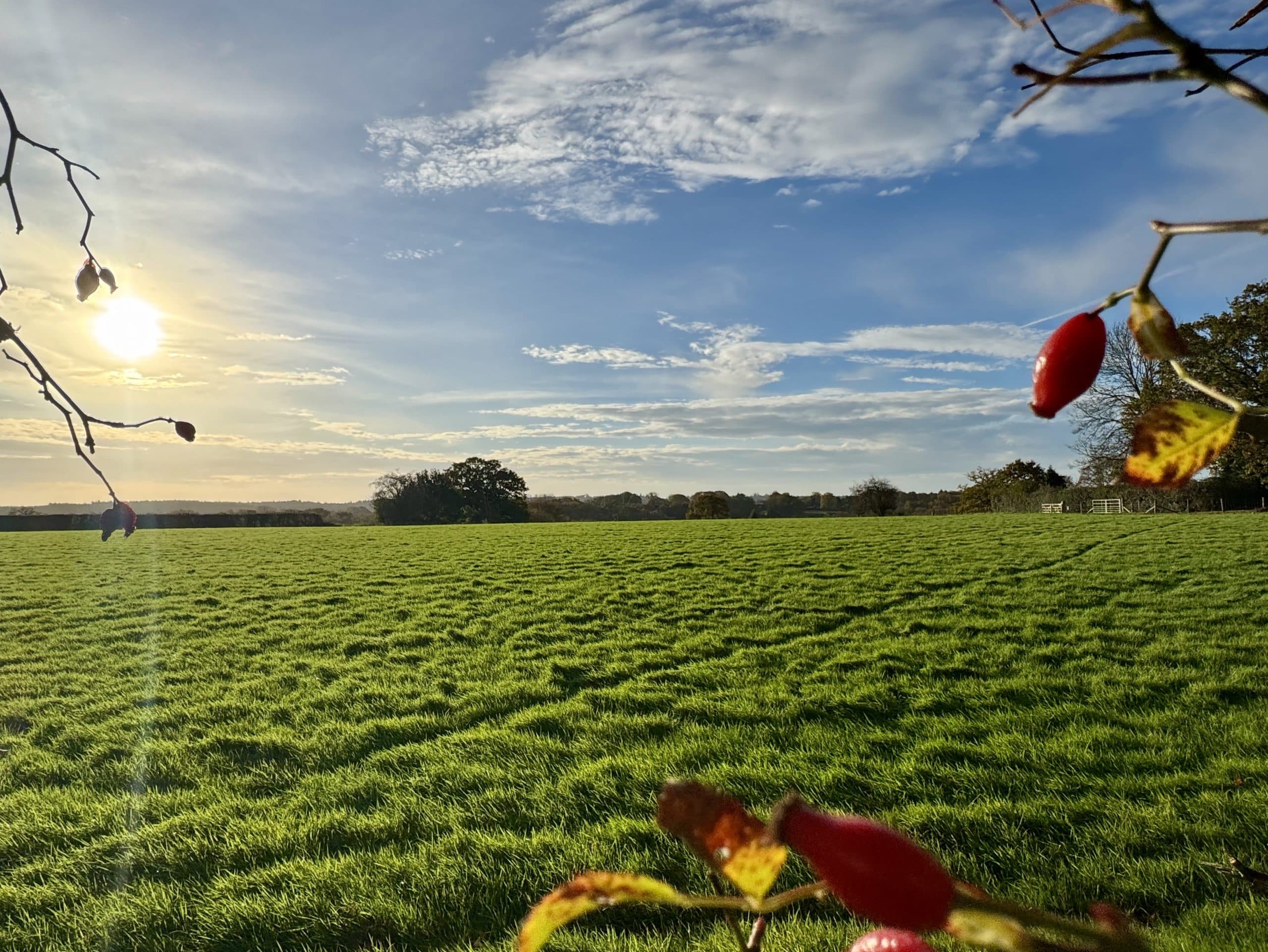 Self build plot for sale in Sissinghurst, Cranbrook, Kent via The Land Agency