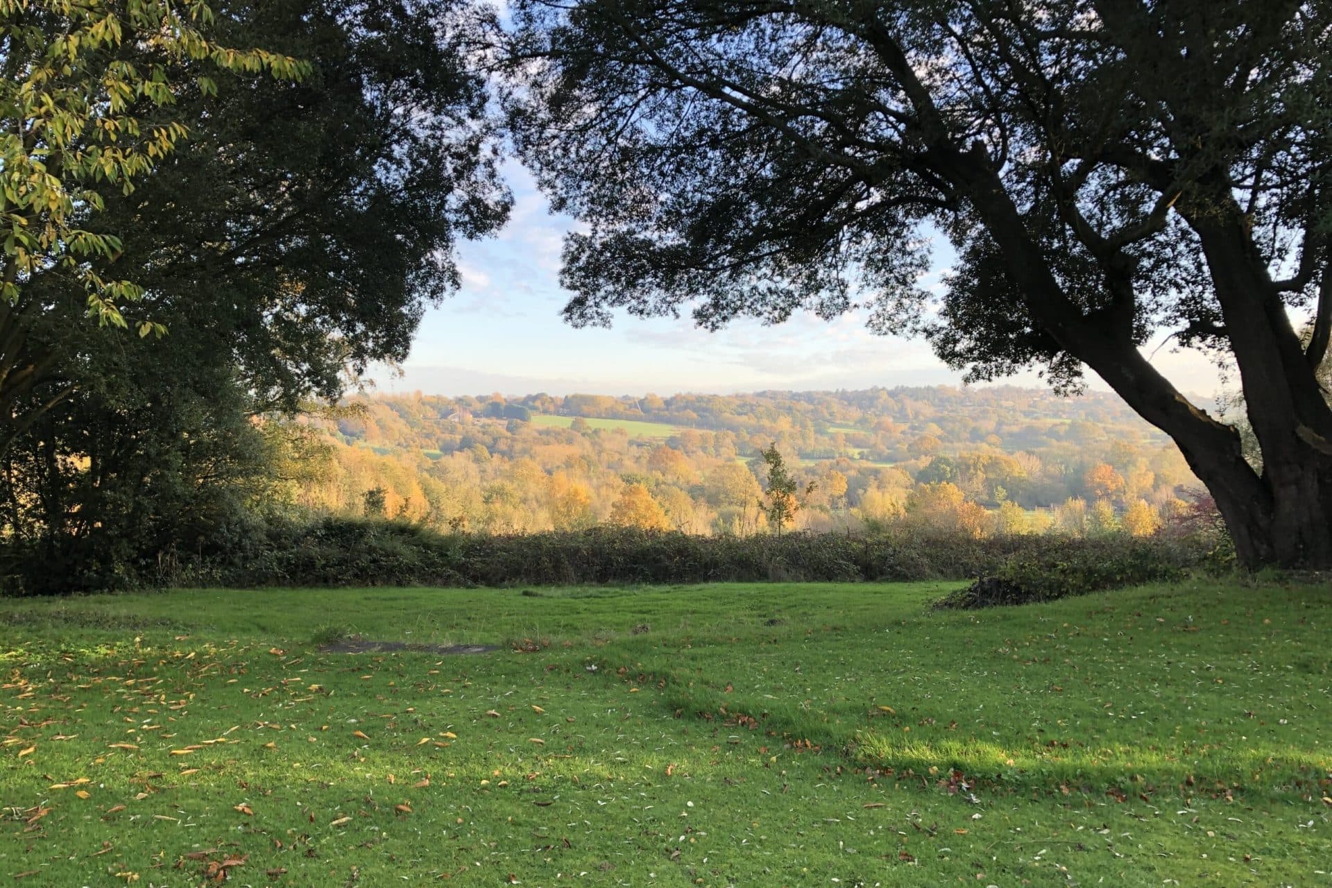 Plots For Sale in the UK from The Land Agency, the leadings land sales specialist