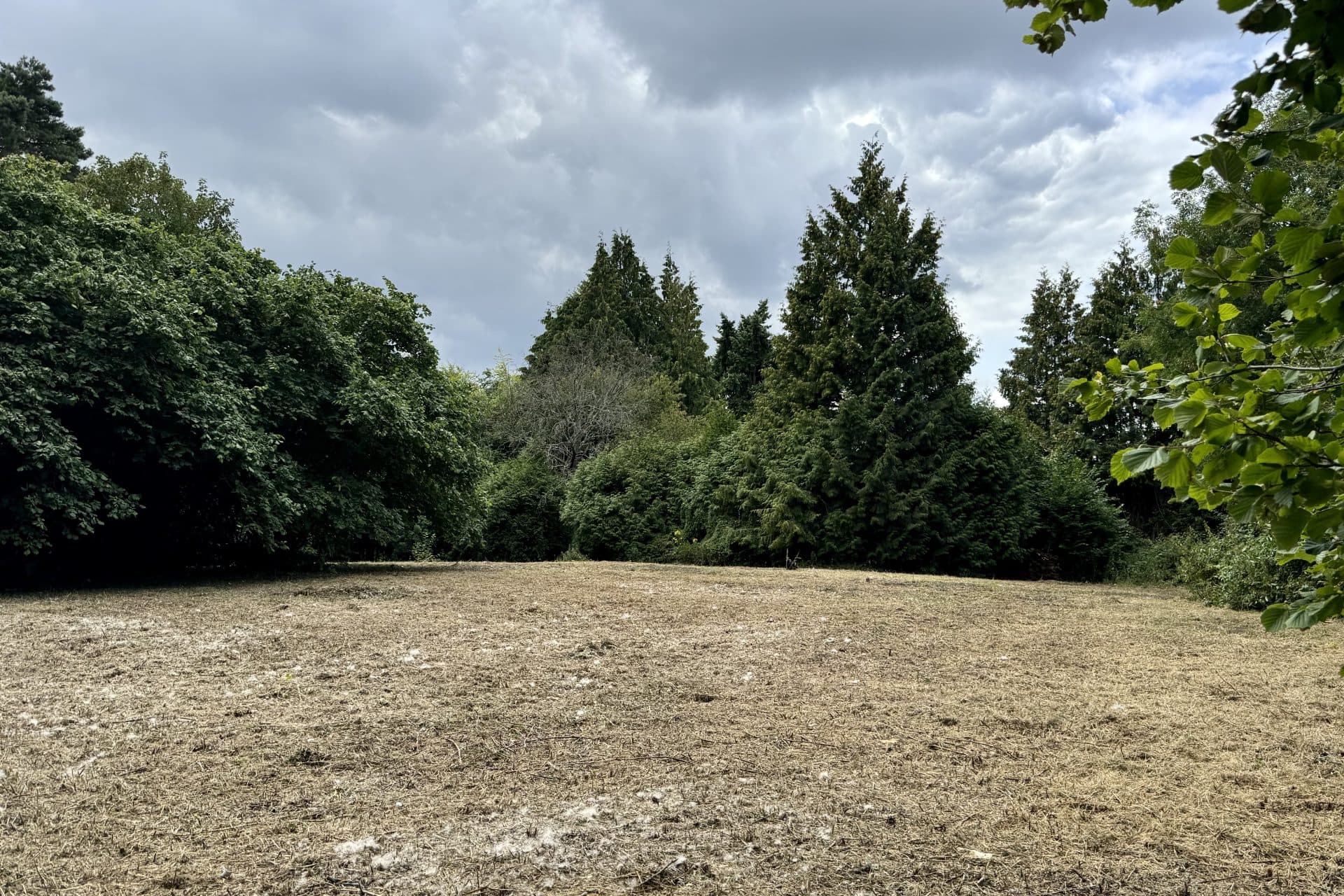 A self build plot with outline planning consent for sale in Ightham, Kent via The Land Agency