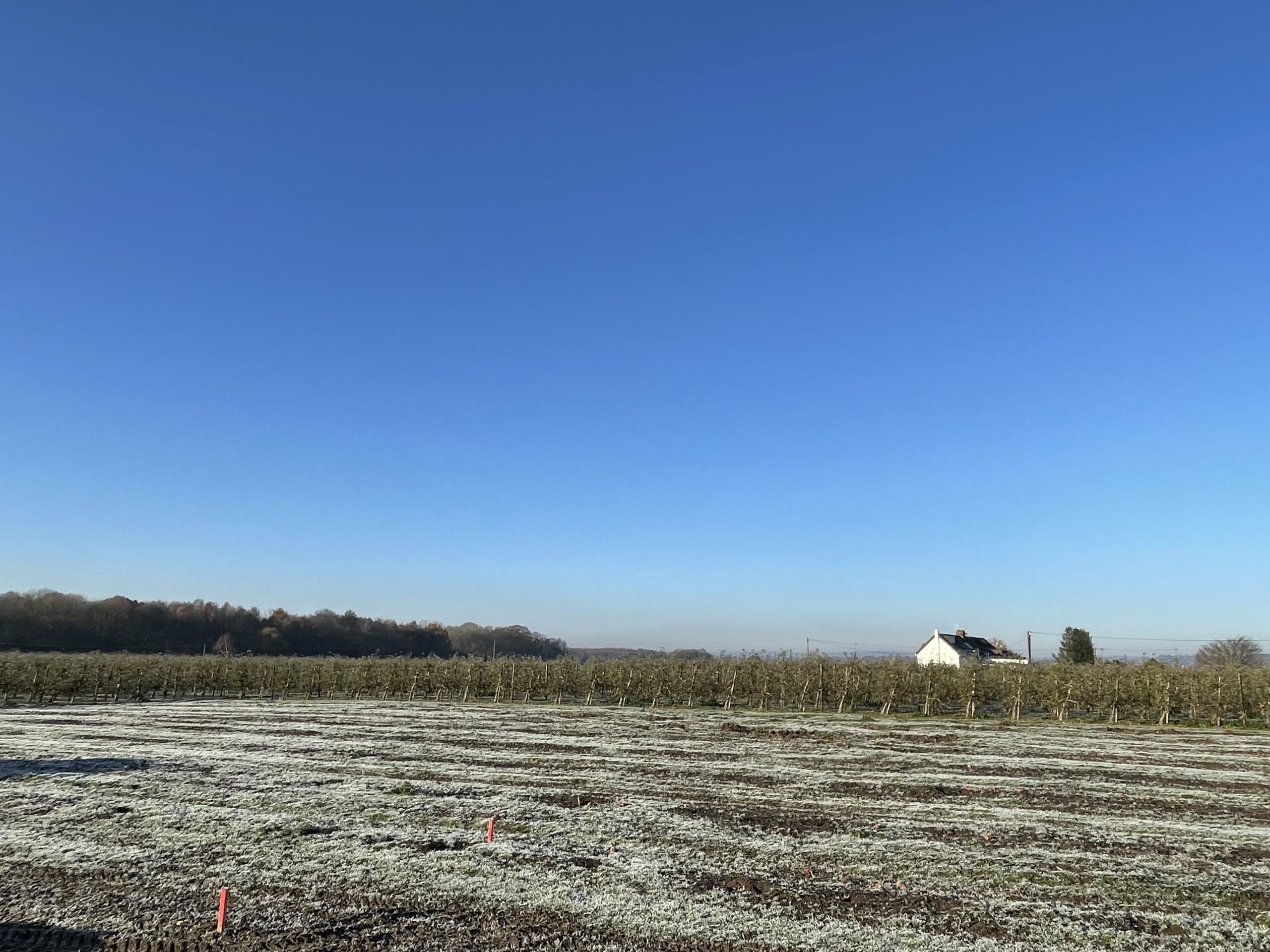 Plots for sale in East Peckham, Kent